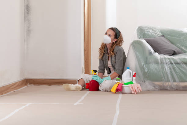 Reliable Mold Cleanup contractor in Lawrence Township, NJ by Cheap Mold Removal